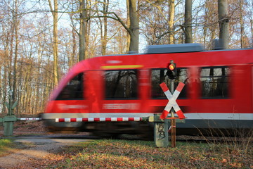 Fototapeta premium Beschrankter Bahnübergang - Zug an kleinem Überweg im Wald