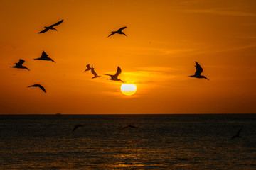 Sunset scene in Key West, FL