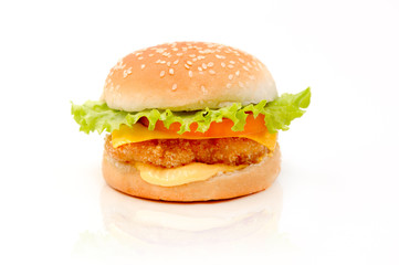 Fresh and tasty burger isolated