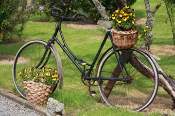 Fototapeta na wymiar Schönes altes Fahrrad mit Blumenkörben