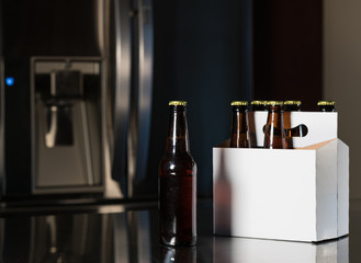 Six pack of brown beer bottles on kitchen counter