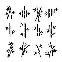 Bamboo vector icons. Asian  plant stalks and leaves isolated on white background