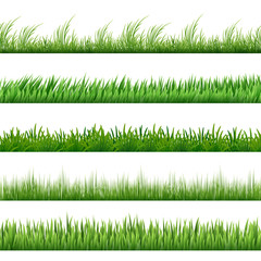Green grass pattern set. Vector macro borders isolated on white background