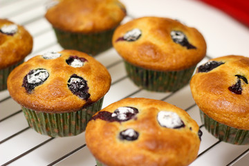 Freshly baked Blueberry Muffins