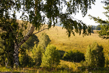 Romanian mountain landscape
