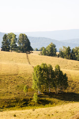 Fototapeta premium Romanian mountain landscape