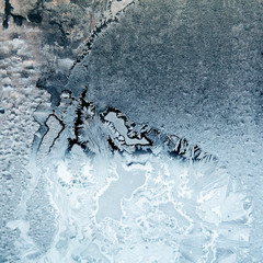 Ice flowers on glass - texture and background