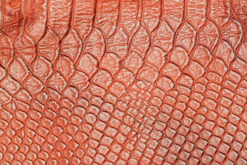Brown snake scales macro background, brandy tones