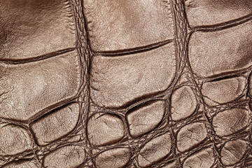 Texture of genuine leather closeup, embossed under the skin a brown reptile, walnut color