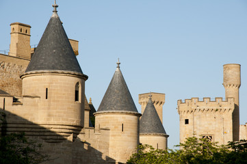 Castle of Olite - Spain