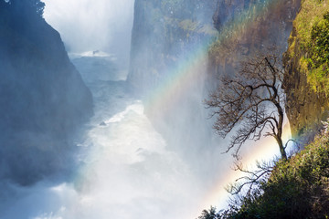 The Victoria falls is the largest curtain of water in the world (1708 meters wide). The falls and...