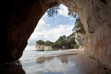 Cathedral cave, Coromandel forest park, New Zealand