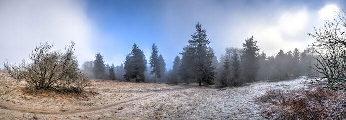 Großer Feldberg, Taunus