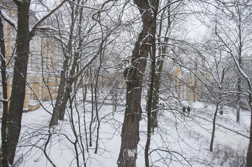 Snow scene in Russia