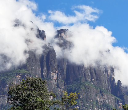 The tepui on Carrao river near lagoon of Canaima national park - Venezuela