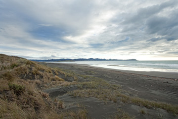 Fototapeta na wymiar Kawhia beach, New Zealand