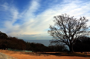 Fototapeta na wymiar 吾妻山山頂の公園/神奈川県二宮町吾妻山