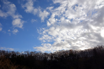 冬の青空と白い雲/神奈川県大磯町