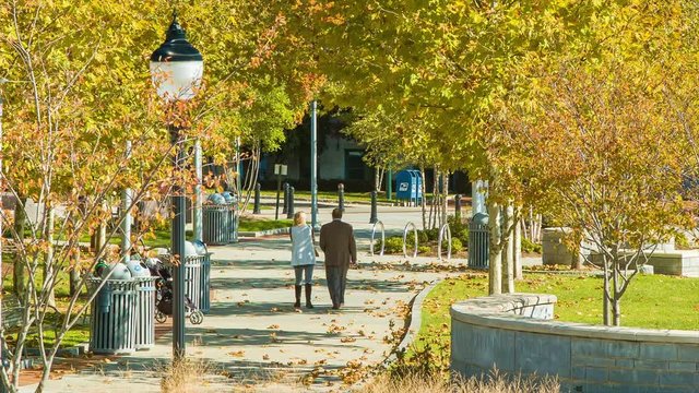 A Couple Strolling Through Pack Square Park in Downtown Asheville NC on a Sunny Autumn Morning with Fall Colored Trees Along the Path