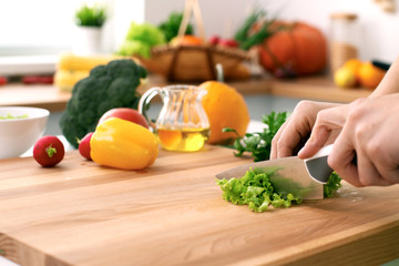 Close up of  woman's hands cooking in the kitchen. Housewife slicing ​​fresh salad. Vegetarian and healthily cooking concept