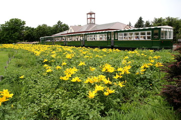 Sapporo train and flower park
