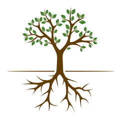 Fototapeta premium Color Tree and Roots. Vector Illustration.