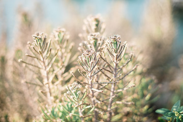 Glasses beshide the sea