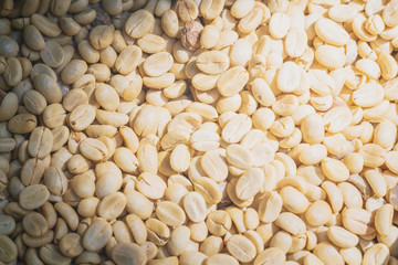 Coffee beans dried in the sun before roast