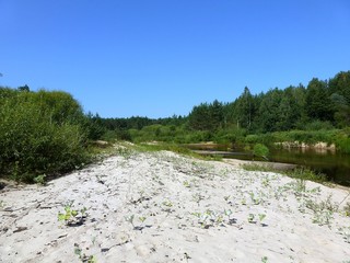Лесные берега Люнды (река в Марий Эл)