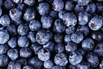 Blueberries background