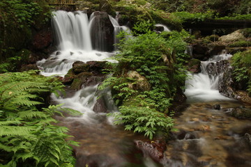 瓜割りの滝　福井県