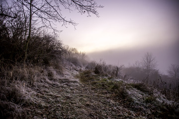 Abendliche Winterlandschaft auf dem Jakobsberg in Rheinhessen bei Ockenheim