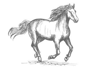 Naklejka na ściany i meble Horse racing sport equine symbol