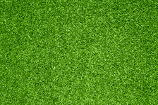 green grass with greeney color trend