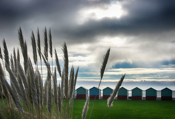 Brighton beach huts