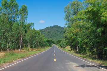 Country Road With Trees Beside in rural area. Nature and green.