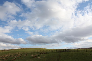 Fototapeta na wymiar View to the top of Gallangad-muir viewpoint near Loch Lomond