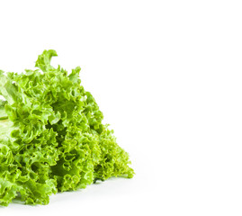 Green leaf salad isolated on white background. 