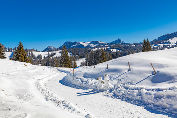 Fototapeta na wymiar panoramic view oberallgau in winter