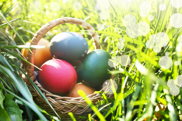 Wicker basket with Easter eggs on green grass