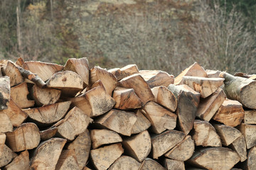 Pile of firewood