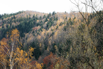 Beautiful Carpathian landscape