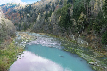 Carpathian forest stream