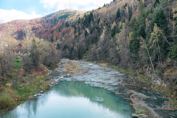 Carpathian forest stream