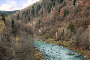 Fototapeta na wymiar Carpathian forest stream