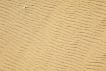 Fototapeta na wymiar the surface of the sand dunes