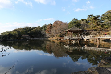 Fototapeta na wymiar 奈良公園浮見堂