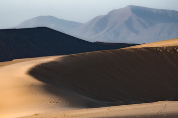 The natural Park in Corralejo the canary-islands Spain