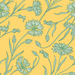 cornflower vector pattern