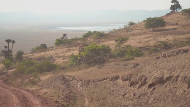 CLOSE UP: Lush vegetation growing along dusty road descending into Ngorongoro